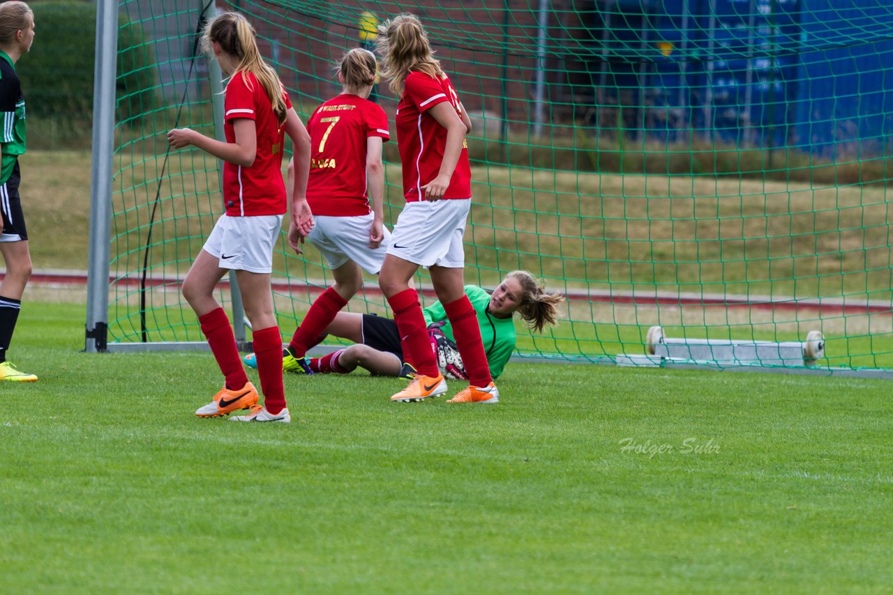 Bild 219 - C-Juniorinnen Landesmeister Finale SV Wahlstedt - TuRa Meldorf : Ergebnis: 1:4